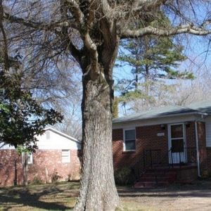 Meet your Posher, Lanie